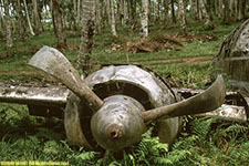 WW II airplane wreck